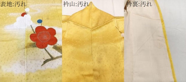 平和屋着物■訪問着 手描き 駒刺繍 枝梅文 金彩 正絹 逸品 CABE9811xi