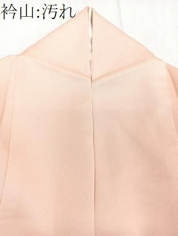 平和屋着物■訪問着 草花文 暈し染め 金彩 正絹 逸品 CABE9816xi