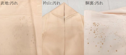 平和屋着物■訪問着 刺繍 孔雀文 正絹 逸品 CABE9817xi