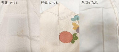 平和屋着物■訪問着 刺繍 枝花松文 金彩 正絹 逸品 CABE9820xi