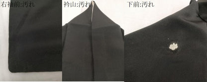 平和屋着物■豪華黒留袖　刺繍　孔雀花文　松竹梅　金彩　正絹　逸品　CABE9864xi