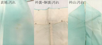 平和屋着物■訪問着　草花文　暈し染め　金彩　カラー胴裏：鳥の子色　正絹　逸品　CABE9903xi