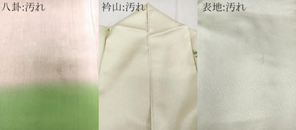 平和屋着物■訪問着　仕覆飾花文　金彩　正絹　逸品　CABE9905xi