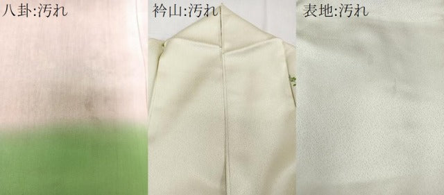 平和屋着物■訪問着　仕覆飾花文　金彩　正絹　逸品　CABE9905xi