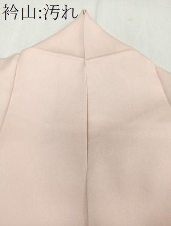 平和屋着物■訪問着　草花文　暈し染め　銀彩　正絹　逸品　CABE9934xi