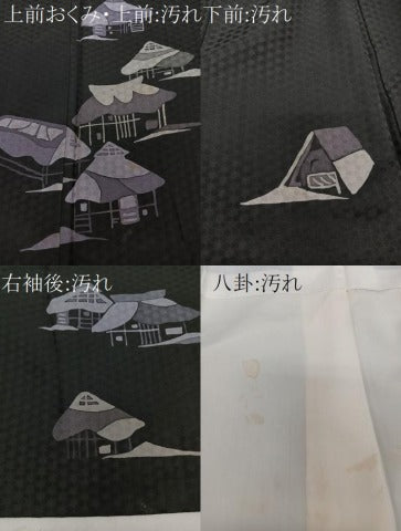 平和屋着物■訪問着 小屋文 黒地 正絹 逸品 CABE9952xi
