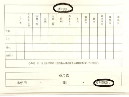 平和屋着物◎六通柄袋帯　名物裂　金糸　正絹　逸品　CABF0128ak