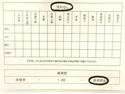 平和屋着物◎六通柄袋帯　唐織　二重箔佐賀錦　孔雀文　金銀糸　やまとオリジナル　正絹　逸品　CABF0191ak