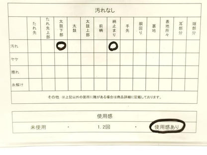 平和屋着物◎六通柄袋帯　唐織　流水松文　金銀糸　正絹　逸品　CABF0199ak
