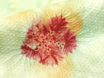平和屋着物▼上質な小紋　絞り　舞花文　暈し染め　正絹　逸品　CABF0543vp