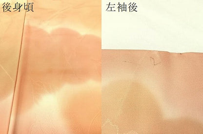 平和屋着物▼上質な小紋 地紋起こし 雲取り花文 暈し染め 正絹 逸品 CABF0677vp