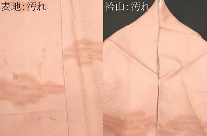 平和屋着物■上質な小紋 立波飛鶴文 暈し染め 正絹 逸品 CABF0906fb