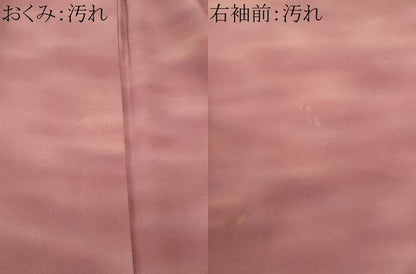 平和屋着物■虹色創家 本郷大田子 小紋 大田子ぞめ 霞文 暈し染め 正絹 逸品 CABF1103fb