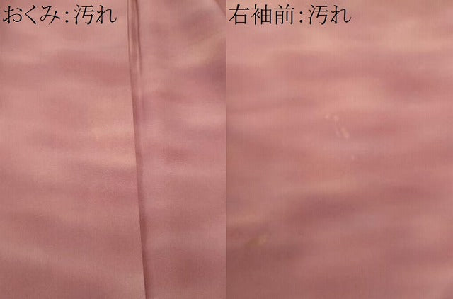 平和屋着物■虹色創家 本郷大田子 小紋 大田子ぞめ 霞文 暈し染め 正絹 逸品 CABF1103fb