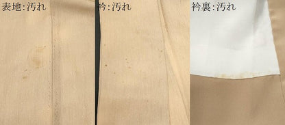 平和屋着物■訪問着　枝花文　暈し染め　正絹　逸品　CABF1189fb