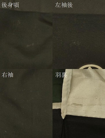 平和屋着物＃男性　長羽織　黒紋付　羽裏：ライオン　正絹　逸品　CABF1258in
