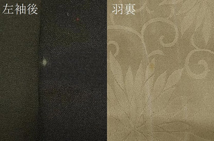 平和屋着物＃羽織　寿光織　バラ　薔薇　黒地　正絹　逸品　CABF1449in