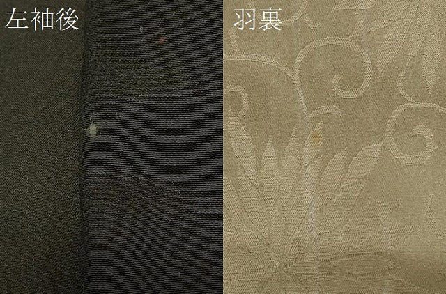 平和屋着物＃羽織　寿光織　バラ　薔薇　黒地　正絹　逸品　CABF1449in