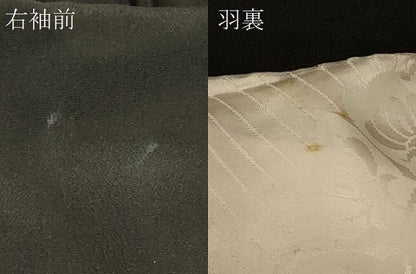 平和屋着物＃羽織　寿光織　草花文　黒地　金銀糸　正絹　逸品　CABF1537in