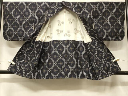 平和屋着物∞道中着　紬地　本場琉球絣　正絹　逸品　CABF1552in