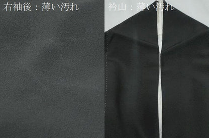 平和屋着物■豪華黒留袖 作家物 手描き 人物風景文 暈し染め 金彩 正絹 逸品 CABF1603th