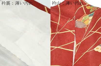 平和屋着物■小振袖　二尺袖　芝草舞蝶文　金彩　正絹　逸品　CABF1689th