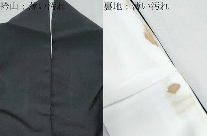 平和屋着物■豪華黒留袖　作家物　飛鶴風景文　暈し染め　金彩　正絹　逸品　CABF1696th