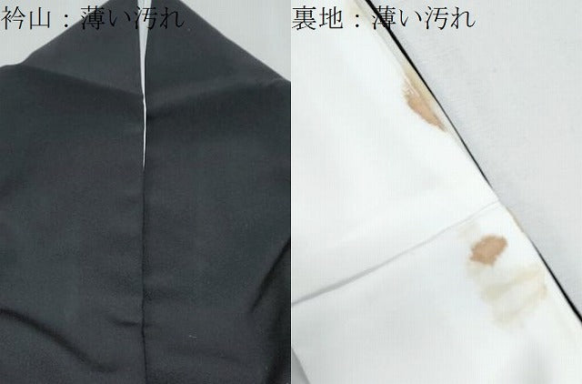 平和屋着物■豪華黒留袖　作家物　飛鶴風景文　暈し染め　金彩　正絹　逸品　CABF1696th