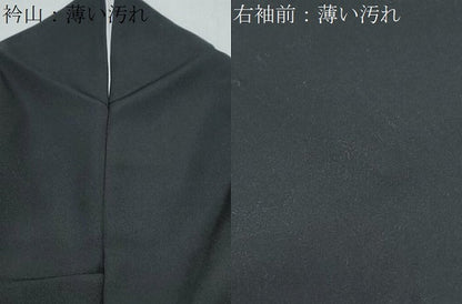 平和屋着物■豪華黒留袖　駒刺繍　扇面飛鶴花文　金彩　正絹　逸品　CABF1701th