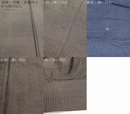平和屋着物■男性　本場大島紬　アンサンブル　80亀甲　総詰め　正絹　逸品　CABF1710th