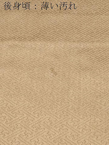 平和屋着物■訪問着 絞り 刺繍 道長花文 金彩 正絹 逸品 CABF1711th