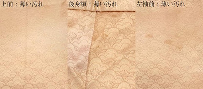 平和屋着物■上質な小紋　梅尽くし　暈し染め　正絹　逸品　CABF1736th