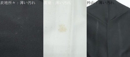 平和屋着物■豪華黒留袖　駒刺繍　扇面宝尽くし鳳凰文　金彩　正絹　逸品　CABF1758th