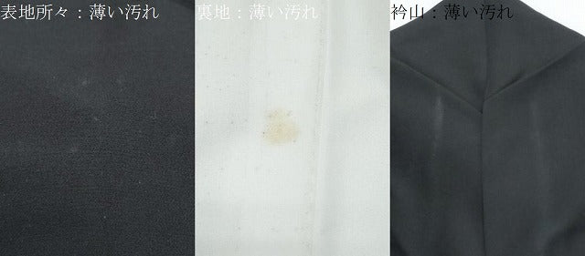 平和屋着物■豪華黒留袖　駒刺繍　扇面宝尽くし鳳凰文　金彩　正絹　逸品　CABF1758th
