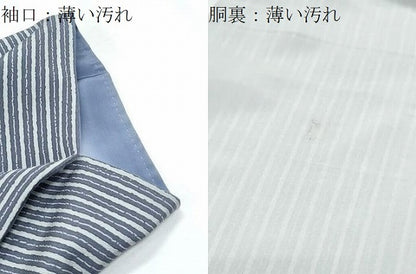 平和屋着物■上質な小紋　間道　正絹　逸品　CABF1768th