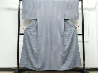 平和屋着物■上質な小紋　間道　正絹　逸品　CABF1768th