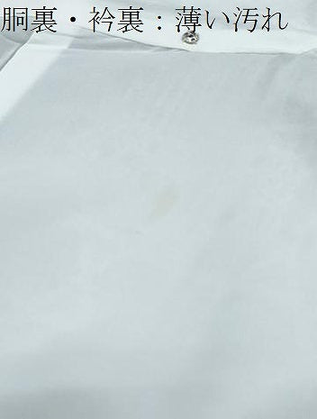 平和屋着物■訪問着　草花文　洗える着物　CABF1790th