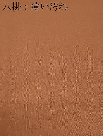平和屋着物■本場大島紬　9マルキ　雲重ね草葉文　正絹　逸品　CABF1831th