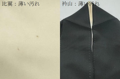 平和屋着物■豪華黒留袖　駒刺繍　陶器飛鳥花文　金彩　正絹　逸品　CABF1835th