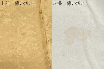 平和屋着物■上質な色無地　樹林地紋　卵色　正絹　逸品　CABF1841th