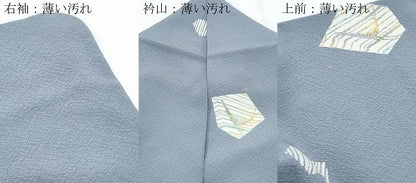 平和屋着物■上質な小紋　吉祥文　正絹　逸品　CABF1863th