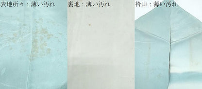 平和屋着物■訪問着　地紋起こし　草葉文　暈し染め　正絹　逸品　CABF1879th