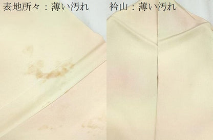 平和屋着物■訪問着　駒刺繍　流水花文　暈し染め　金彩　正絹　逸品　CABF1890th