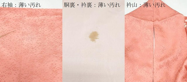 平和屋着物■訪問着　絞り　枝花文　金彩　正絹　逸品　CABF1900th