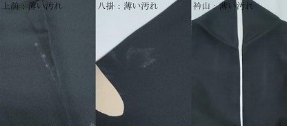 平和屋着物■豪華黒留袖　駒刺繍　孔雀花文　金彩　正絹　逸品　CABF1907th
