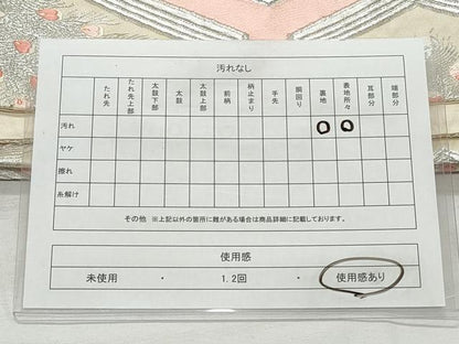 平和屋着物◎六通柄袋帯　唐織　孔雀羽毘沙門亀甲文　銀糸　正絹　逸品　CABF2060qe
