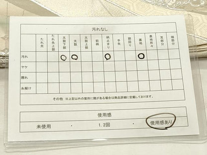 平和屋着物◎両面　六通柄袋帯　正倉院花文　銀糸　正絹　逸品　CABF2072qe