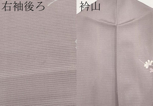 平和屋着物＊夏物 訪問着 絽 友禅 草花文 蛍暈し 正絹 逸品 CABF2448tx