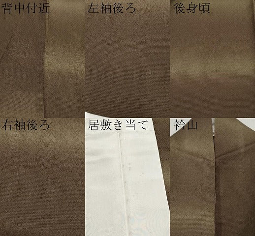 平和屋着物＊夏物 小紋 絽縮緬 横段文 正絹 逸品 CABF2452tx