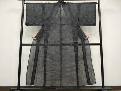 平和屋着物＊夏物 重要無形文化財 本場宮古上布 苧麻 逸品 CABF2454tx